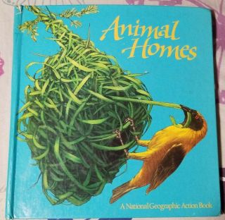 Rare Animal Homes Pop - Up Hb Book A National Geographic Action Book