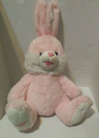 Euc Rare Dan Dee Hoppy Hopster 2015 Pink Easter Bunny Rabbit Plush 21 " Rare