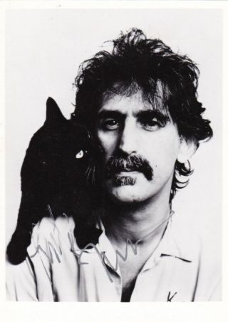 Frank Zappa / Signed Photo / Rock / In - Person 100 Rare Autograph