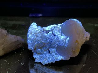 Rare Fluorescent Scheelite On Quartz Furniss Mine Cabarrus Co North Carolina