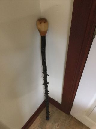 Traditional Irish Blackthorn Walking Stick With Knob Handle