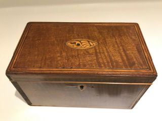 Antique 19th Century Georgian Wooden Tea Caddy Conch Shell Inlay For Restoration