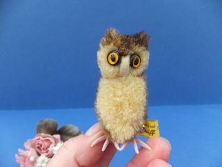 Vintage Steiff Owl Ear Button Tag Miniature Wool Pom Pom Woolie Toy Bird 7480/06