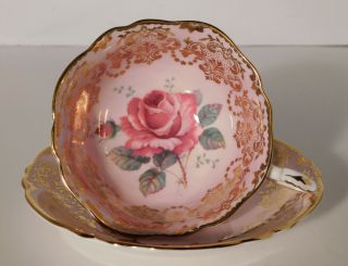 Paragon Large Floating Cabbage Rose Pale Pink/gold Filigree Cup & Saucer Rare