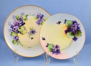 Antique 2 German Hand Painted Porcelain Plates Purple Flowers