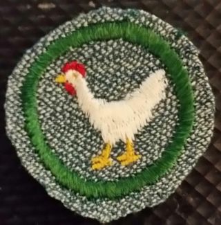 1947 Girl Scout Silver White Backstitch Badge Poultry Raiser Chicken Rare