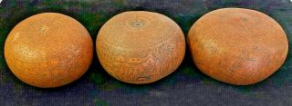 3 Rare Vtg Fine Detailed Etched Gourds Hand Carved Folk Art Peru South America