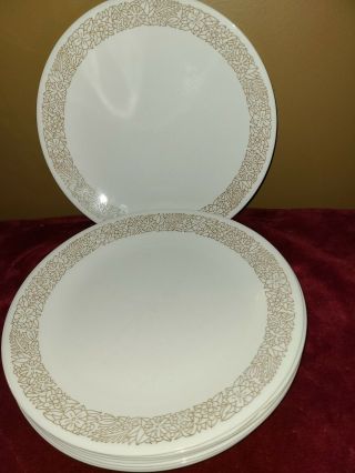 Corning Corelle Woodland Brown Set Of 8 Dinner Plates 10.  25 " Discontinued/rare