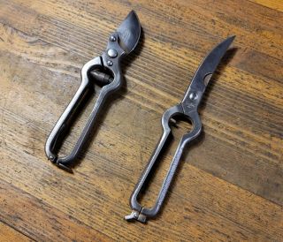 Antique Tools Vintage Garden Pruning Shears Snips Cutters Seymour Griffon ☆us/it