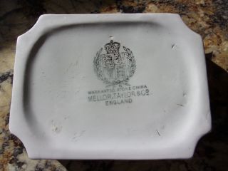 Antique Mellor Taylor & Co White Ironstone SOAP DISH English Stone China 3