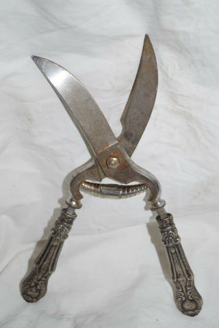 Antique Sterling Silver Poultry Shears Scissors Italy Lion Mark Stainless Steel