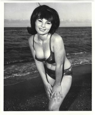 Vintage 1960s Bunny Yeager Autographed Photograph Bikini Pin - Up Gloria Hempstead