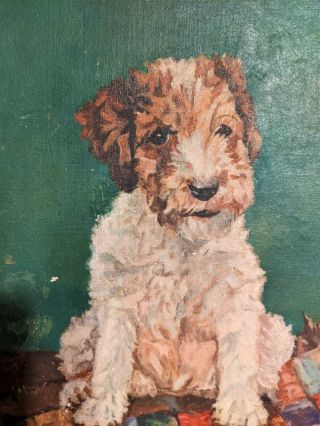 Antique Primitive Early 1900 ' s American Folk Art Dog Portrait Oil Painting 3