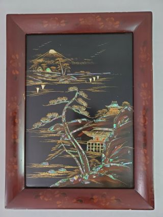 Rare Vintage Asian Black Lacquer & Mother of Pearl Wall Art / Picture 3
