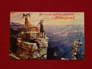 Disneyland Rare Grand Canyon Diorama Vintage Post Card