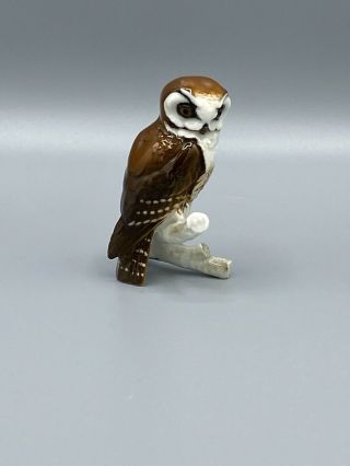 Vintage Lorenz Hutschenreuther Porcelain Owl On Branch Figurine Germany