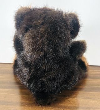 Rare Mink (?) Bear Dark Brown Teddy Bear 6 Inch Made with Natural Fur No Labels 3