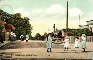 Havant Railway Crossing Postcard Antique Horse & Cart Hampshire Social History