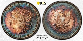 1883 - O Morgan Silver Dollar Pcgs Ms63 Rainbow Toned Obverse And Reverse Rare