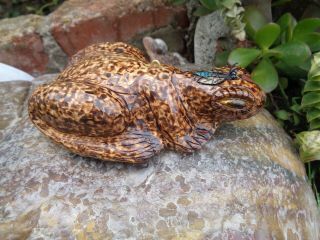 Fish Decoy Frog Toad Eating Fly Bug Fishing Lure R Foster Folk Art Wood Carving