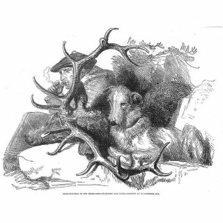 Edwin Landseer Deer Stalking In The Highlands - Antique Print 1847