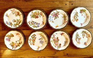 Rare Antique Royal Worcester 8ct 9” Plate Transferware Floral Brown/gold 1887
