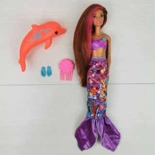 Barbie Dolphin Magic Transforming Mermaid Rare Isla Doll With Accessories.