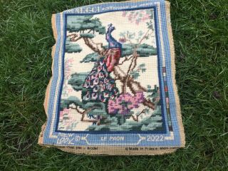 Vintage Margot Tapestry Embroidered Picture Needlecraft Complete Peacock Bird