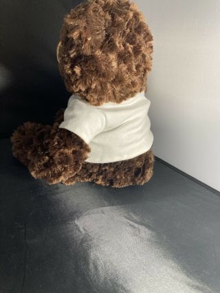 RARE “Walmart Museum” Dark Brown Teddy Bear 22 