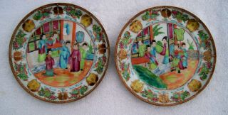 Rare Pair Chinese Famille Rose Porcelain Plates With Fish Motif On Border