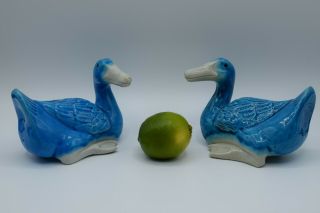 Pair Vintage Turquoise Chinese Porcelain Peking Recumbent Ducks Export Figurines