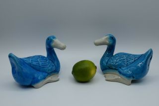 Pair Vintage Turquoise Chinese Porcelain Peking Recumbent Ducks Export Figurines 3