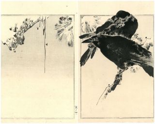 ☆rare Gem☆ 19th Century Watanabe Seitei (shotei) Woodblock Print ☆ Myna Bird☆