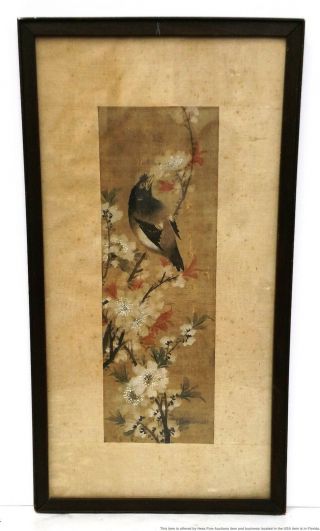 Antique Asian Bird And Flower Branches Silk Painting
