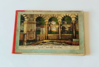 Antique Album Of Pressed Flowers For The Holy Land