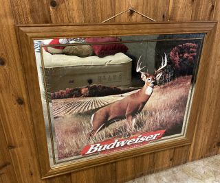 Rare Budweiser Anheuser - Busch Whitetail Deer Mirror Sign 36 " X27” Hunting 1998
