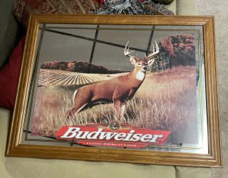 Rare Budweiser Anheuser - Busch Whitetail Deer Mirror Sign 36 