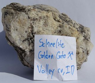 Very Rare Locality Scheelite On Quartz - - Golden Gate Mine,  Valley County,  Idaho