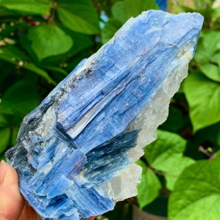 552g Rare Natural Blue Kyanite With Quartz Crystal Specimen Rough/b