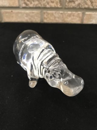 Rare Htf Daum France Crystal Hippopotamus Clear Glass Signed