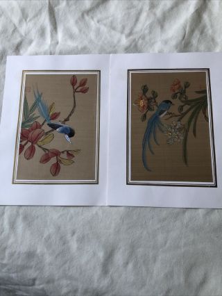 2 Oriental Chinese Silk Panels Of Birds In Branches