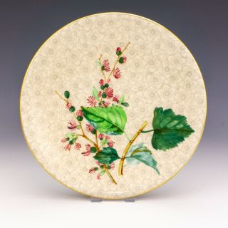 Antique Royal Worcester Porcelain Flower Painted Plate - But Lovely