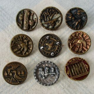 Assortment Of 9 Antique Brass Buttons W Bird Images