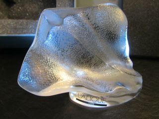 Lalique Crystal Stingray " Rare ",  Clear And Frosted In Foam Lined Box