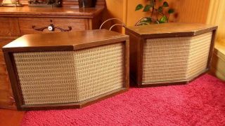 Janszen Model 65 Electrostatic Speakers Numbered Consecutively Rare