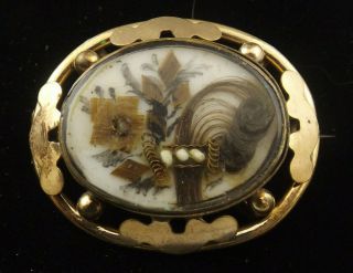 Antique Victorian Mourning Brooch Picture Made Of Hair Gold Plate