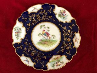 Fine Antique George Jones Bone China Hand Painted Exotic Bird Dessert Plate.  6.