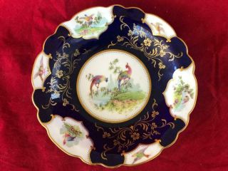 Fine Antique George Jones Bone China Hand Painted Exotic Bird Dessert Bowl.  1