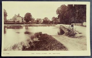 Rare R.  P.  Postcard Young Man Sat On Fence - The Pond - St Nicholas Hurst Nr Twyford