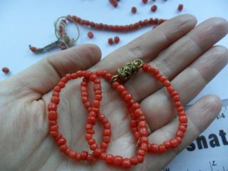 Vintage Antique Coral Beads Necklace,  Loose Beads Fancy Victorian Clasp Restrin